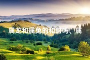 属龙和属兔的和财吗、属龙遇属兔财运相冲，运势解析需谨慎