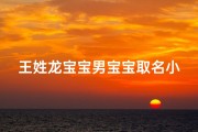 王姓龙宝宝男宝宝取名小说(姓王属龙取名男孩名字大全)