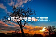 《韩龙父母喜得龙宝宝，取名的智慧之旅》