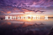 属龙什么时辰下葬好—属龙人最佳下葬吉时：揭秘风水奥秘