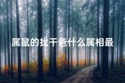属鼠的找干爸什么属相最好_属鼠人的干爹属相揭秘：生肖相配大揭秘