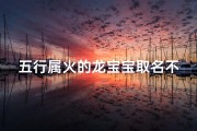 五行属火的龙宝宝取名不能带金吗;五行属火龙宝宝取名：火龙灵动，避金之忌，巧选佳名