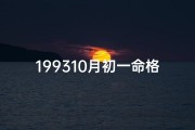 199310月初一命格：揭秘神秘命运之谜