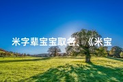 米字辈宝宝取名、《米宝降临，幸福满溢：米字辈宝宝取名大揭秘》