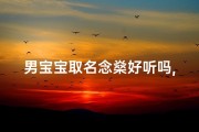 男宝宝取名念燊好听吗,《男宝宝取名念燊：寓意美好，音韵悦耳》