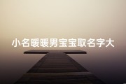 小名暖暖男宝宝取名字大全