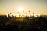 牛宝宝取名字浩宇寓意;牛宝宝取名：浩宇星辰，寓意无限广阔