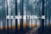 属龙 兔年添丁好吗—属龙 兔年添丁好吗男孩