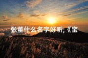 张董什么名字好听;《宝宝取名张董姓名字，寓意美好创意无限》