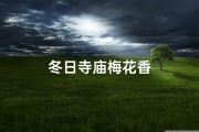冬日寺庙梅花香