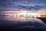 12月属猪订婚吉日是哪几天