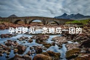 孕妇梦见一条蜷成一团的蛇—孕妇梦见一堆蛇缠在一起