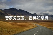 曹家兔宝宝，吉祥如意男宝名