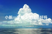 小新一家给小孩起名好吗、小新这个名字怎么样