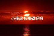 小孩起名郑硕好吗