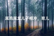 属鸡属龙儿子相冲，育儿难题如何破解？