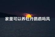 家里可以养牡丹鹦鹉吗风水-《牡丹鹦鹉风水宜忌：家中养鸟吉凶揭秘》