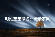 时姓宝宝取名：传承家风，智慧如星