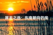 属龙之选：东南朝向的房子风水秘籍