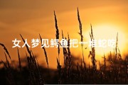女人梦见鳄鱼把一堆蛇吃了(女人梦见鳄鱼把一堆蛇吃了好不好)