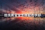 给虎男宝宝怎样起名字好(属虎的男宝宝取什么名字最好)