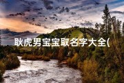 耿虎男宝宝取名字大全(如何给仇姓男宝宝起名 )