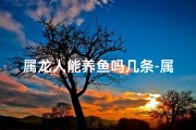 属龙人能养鱼吗几条-属龙的可以养鱼吗？