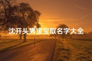 沈开头男宝宝取名字大全(姓沈的男孩名字大全,男宝宝100分起名合集)