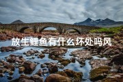 放生鲤鱼有什么坏处吗风水