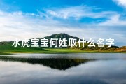水虎宝宝何姓取什么名字