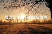 属龙人生属马的宝宝好吗;属龙属马生宝宝，揭晓最佳生肖组合