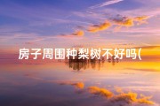 房子周围种梨树不好吗(荔枝环绕风水佳，居家旺运福满园)