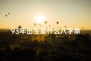 93年出生是什么八字命、1993年出生：揭秘你的八字命理之谜