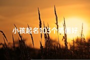 小孩起名103个笔画好不好,《103笔画创意童名，寓教于乐启智慧之门》