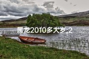 属龙2010多大岁;2010属龙的命运怎么样