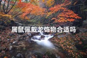 属鼠佩戴龙饰物合适吗