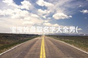 宝宝姓盘取名字大全男(姓盘马年男宝宝叫啥名字好)