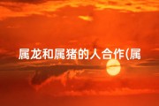 属龙和属猪的人合作(属龙与属猪合作怎么样)