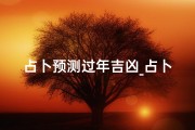 占卜预测过年吉凶_占卜预测过年吉凶详解