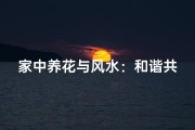 家中养花与风水：和谐共生之道
