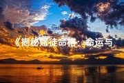 《揭秘赌徒命格：命运与的纠缠》