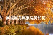 属鼠属龙属猴运势如何-属龙属猴属鼠的在一起会怎么样