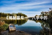 《揭秘最专一：八字中的命运密码》