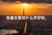 张董后面加什么字好听;《张董字女孩：童真闪耀，未来可期》