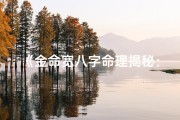《金命宽八字命理揭秘：命运轨迹解析》