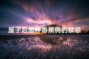 屋子后面种香蕉树的禁忌、屋后种香蕉真的影响风水吗？