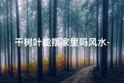 干树叶能摆家里吗风水-干树叶摆家中，风水禁忌知多少？