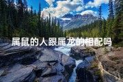 属鼠的人跟属龙的相配吗-属鼠属龙相配揭秘：缘何天生一对？
