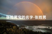 张姓男宝的名字-张姓男宝宝，洋气名字大集合