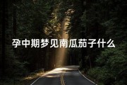 孕中期梦见南瓜茄子什么预兆—孕妇梦见南瓜和茄子什么意思